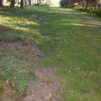 Click para ampliar. Pulsa en el nombre para ver la ficha. Camino ¿calzada? en Pelendonia 05