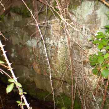 Click para ampliar. Pulsa en el nombre para ver la ficha. Camino ¿calzada? en Pelendonia 10