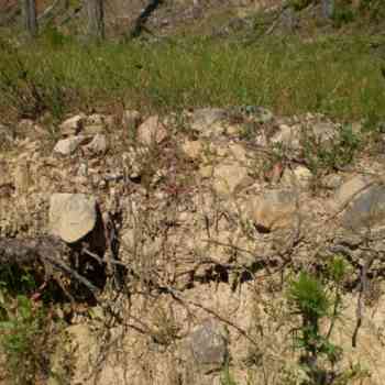 Click para ampliar. Pulsa en el nombre para ver la ficha. Camino ¿calzada? en Pelendonia 06