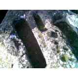 Click para ampliar. Pulsa en el nombre para ver la ficha. necropolis de gualda