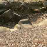 Click para ampliar. Ammaia - Marvão, Portugal