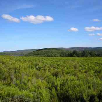 Click para ampliar. Pulsa en el nombre para ver la ficha. Castro de la Torrecilla (Palacios de Sanabria, Zamora)