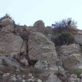 Click para ampliar. Pulsa en el nombre para ver la ficha. Estatua de Tamesmant