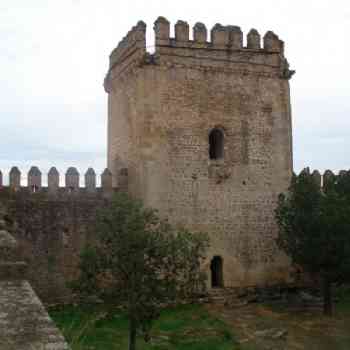 Click para ampliar. Pulsa en el nombre para ver la ficha. Castillo de las Aguzaderas,El Coronil-Sevilla. (Interior del Castillo,Torre del Homenaje)