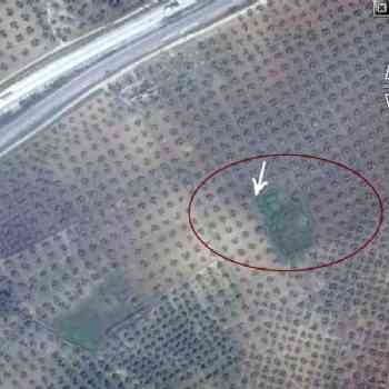 Click para ampliar. Pulsa en el nombre para ver la ficha.