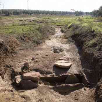 Click para ampliar. Pulsa en el nombre para ver la ficha.