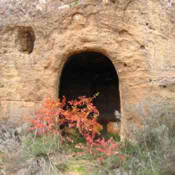 Click para ampliar. Pulsa en el nombre para ver la ficha. Covacha