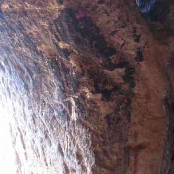 Click para ampliar. Pulsa en el nombre para ver la ficha. Cruz