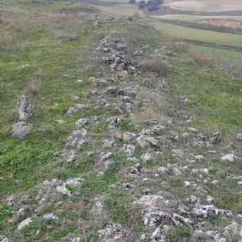 Click para ampliar. Pulsa en el nombre para ver la ficha. qué es