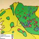 Zonas auríferas del Noroeste y puntos galaicos y astures