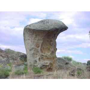 Bull Stone