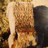 Click para ampliar. Ara de SALAETIUS
(Ager Norbensis)