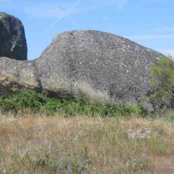 Click para ampliar. Pulsa en el nombre para ver la ficha.