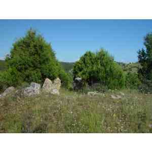 Click para ampliar. Pulsa en el nombre para ver la ficha. Dolmen de la Mina (2)