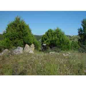 Dolmen de la Mina (2)