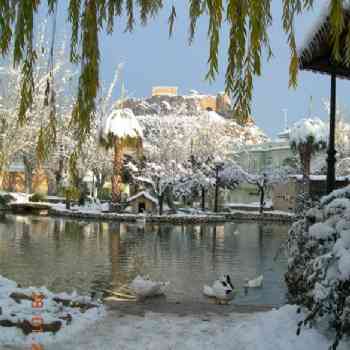 Click para ampliar. Pulsa en el nombre para ver la ficha. Nevada en Ayora