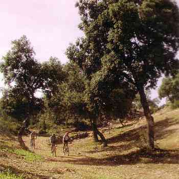 Vista montes de Ayora