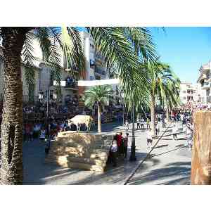 Fiesta de los Toros en Ayora