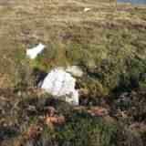 Click para ampliar. Pena Branca 3