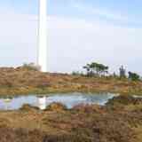 Click para ampliar. Pena Branca 5