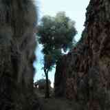 Click para ampliar. Acequias naturales de Baños de Alicún (Granada)