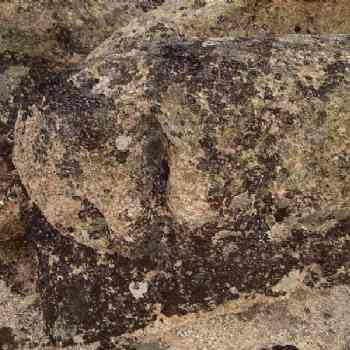 Click para ampliar. Pulsa en el nombre para ver la ficha. La Nava -