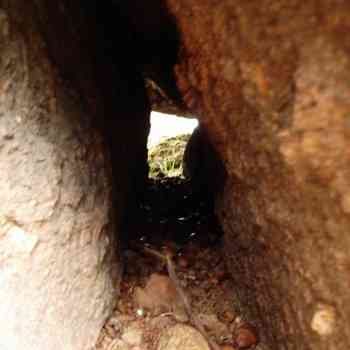 Click para ampliar. Pulsa en el nombre para ver la ficha. Piedras perforadas - El Barquillo 3