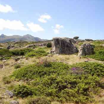 Click para ampliar. Pulsa en el nombre para ver la ficha. Ulaca - Conjunto Sauna
Elemento 1