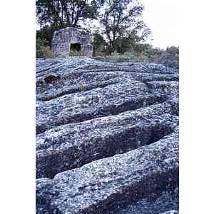 Bozóo. Dolmen y Necropolis