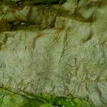 Click para ampliar. Pulsa en el nombre para ver la ficha. Cueva de chufín. Panel de los grabados. 4
