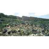 Click para ampliar. Pulsa en el nombre para ver la ficha. Cogotas - Campo de Piedras Hincadas.