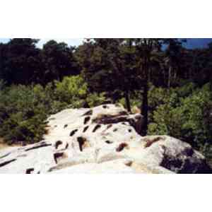 Click para ampliar. Pulsa en el nombre para ver la ficha. Necrópolis de Cuyacabras