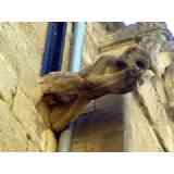 Click para ampliar. Pulsa en el nombre para ver la ficha. Iglesia de San Juan Bautista. Gárgola