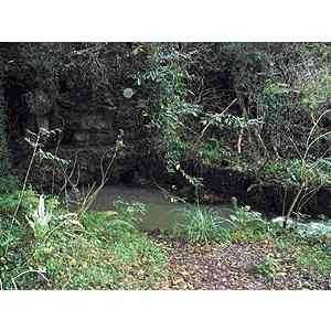 Click para ampliar. Pulsa en el nombre para ver la ficha. Güeyu de Deva, nacimiento del río