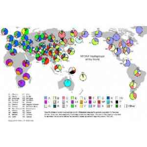 Click para ampliar. Pulsa en el nombre para ver la ficha. Mapa Haplogrupos de ADN mitocondrial nivel mundial