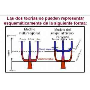 Click para ampliar. Pulsa en el nombre para ver la ficha. Las actuales teorias del origen del hombre