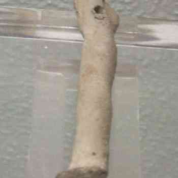 Click para ampliar. Pulsa en el nombre para ver la ficha. La Rinconada 2: Cerro Macareno (idolillo)