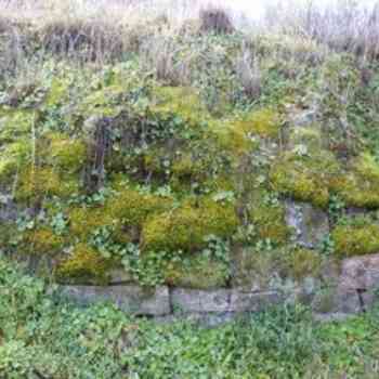 Click para ampliar. Pulsa en el nombre para ver la ficha. Eberóbriga