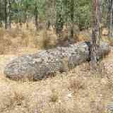 Click para ampliar. Alcántara 16: Menhir del Cabezo (2)