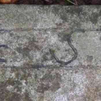 Click para ampliar. Pulsa en el nombre para ver la ficha. Lápidas funerariais Punta Carboeira (detalles 2). Pontedeume. Coruña