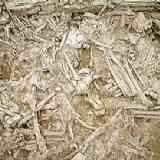 Click para ampliar. Hipogeo de Longar - Huesos