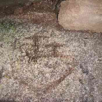 Augas Santas-Petroglifo