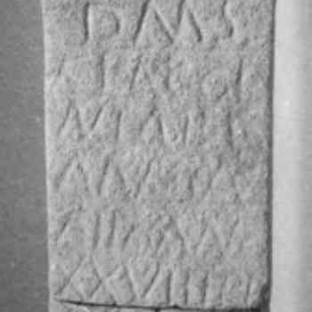 Click para ampliar. Pulsa en el nombre para ver la ficha. Ara de Flaccinia-3