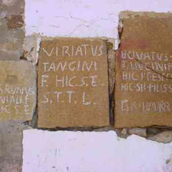 Click para ampliar. Pulsa en el nombre para ver la ficha. Ara de Viriato 3