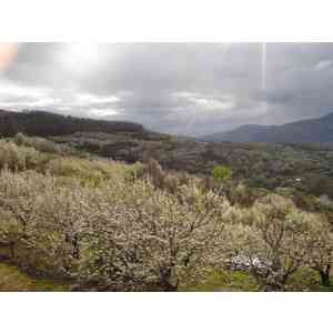 Nieve en el Valle del Jerte