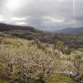 Click para ampliar. Pulsa en el nombre para ver la ficha. Nieve en el Valle del Jerte