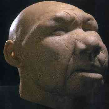 Click para ampliar. Pulsa en el nombre para ver la ficha. Atapuerca: cabeza reconstruída del cráneo 5 (Miguelón)