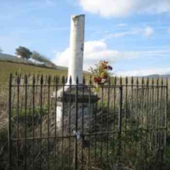 Click para ampliar. Pulsa en el nombre para ver la ficha. general concha columna truncada 1