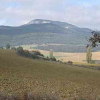 Click para ampliar. Pulsa en el nombre para ver la ficha. monte muru