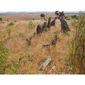 Click para ampliar. Pulsa en el nombre para ver la ficha. Cedillo III: dolmen de Cuatro Lindones